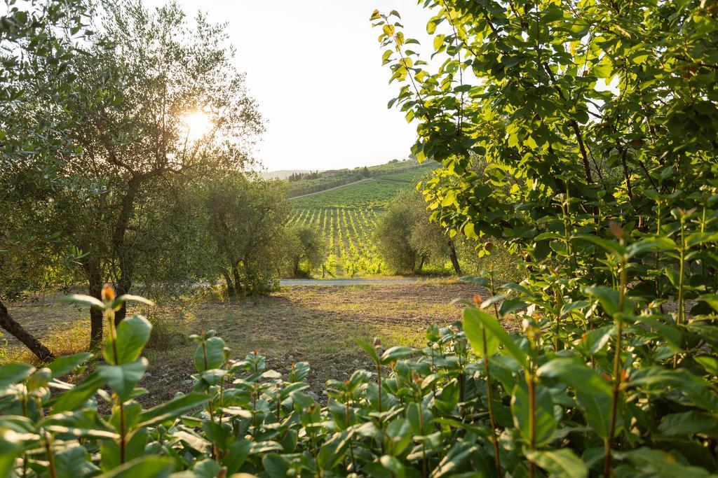 Tenuta Di Monaciano Ponte A Bozzone ภายนอก รูปภาพ