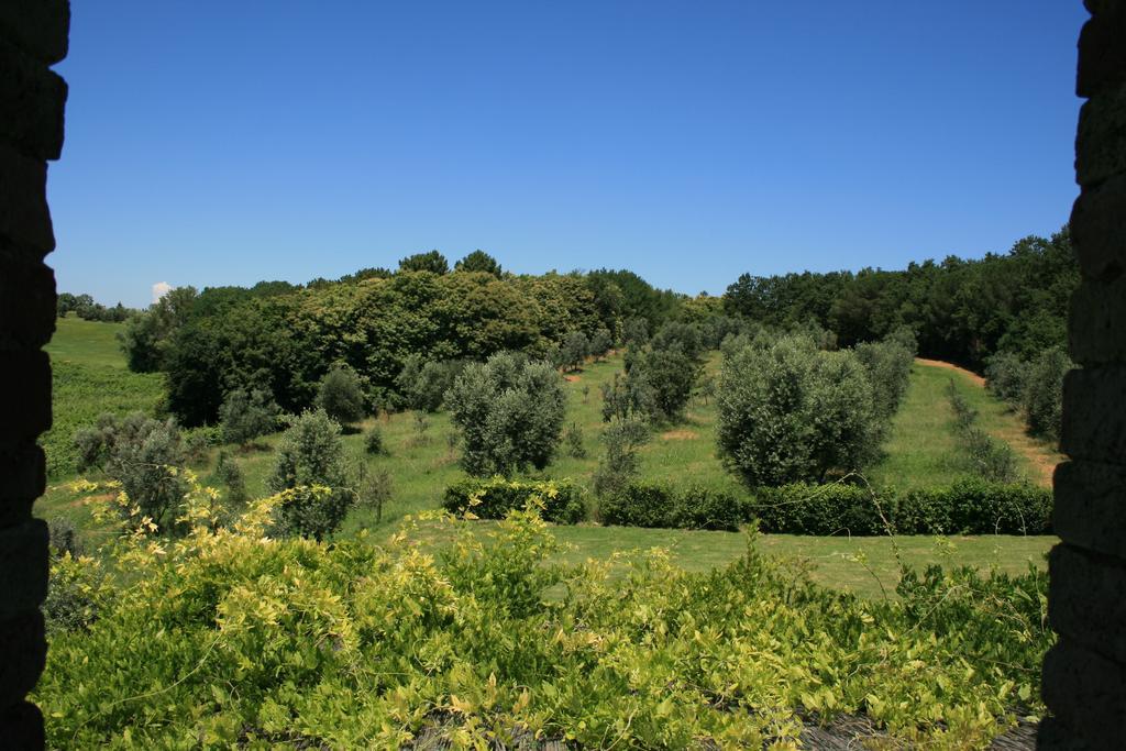 Tenuta Di Monaciano Ponte A Bozzone ห้อง รูปภาพ